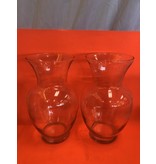 Flower Glass Vase