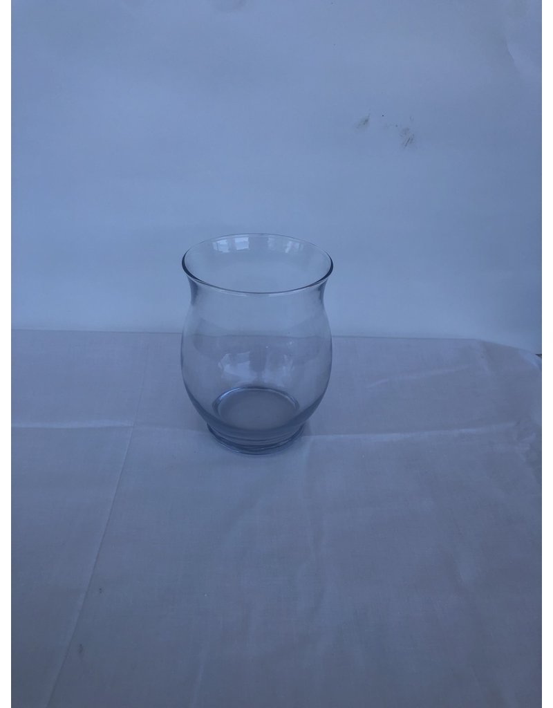 Flower Glass Vase