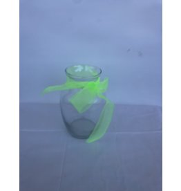 Glass Vase with Light Green Ribbon