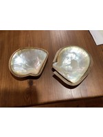 Stetson Seashells Clam Dish w/ Wood