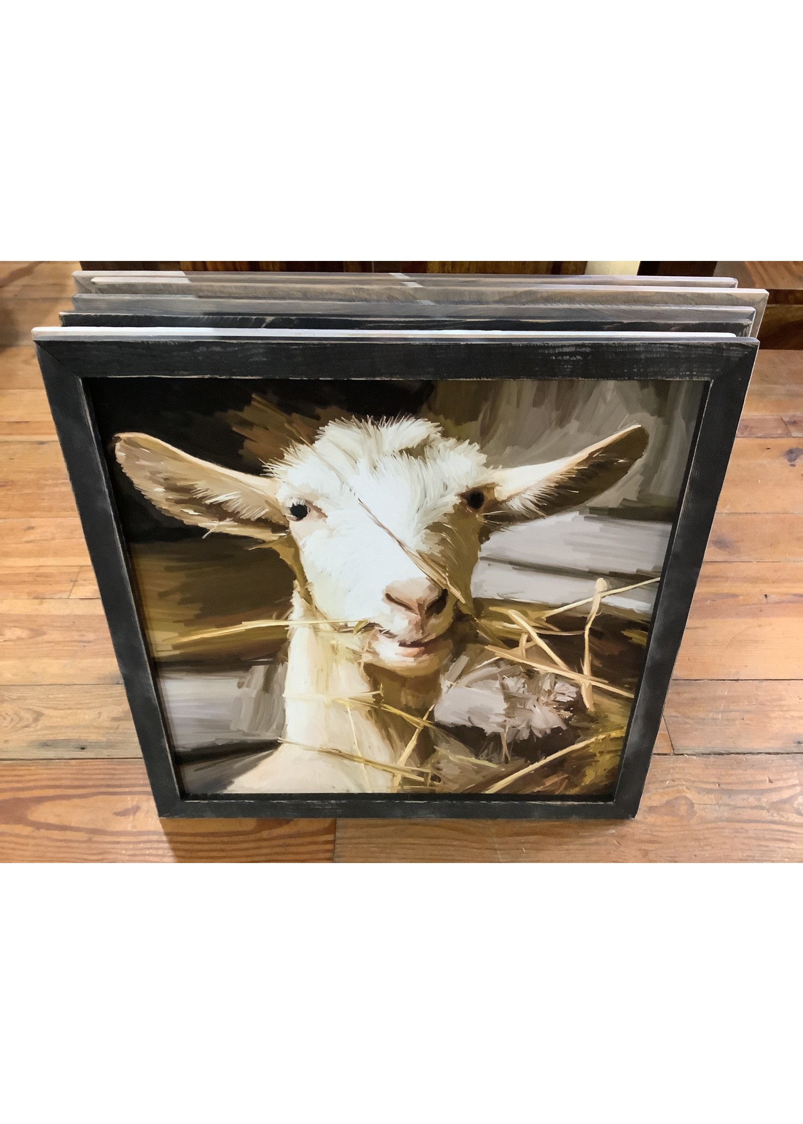 Goat Eating Grass - XL/Black 23x23