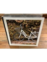 Fall Bike - XL/White 23x23