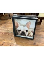 Ralphie - XL/Black 23x23
