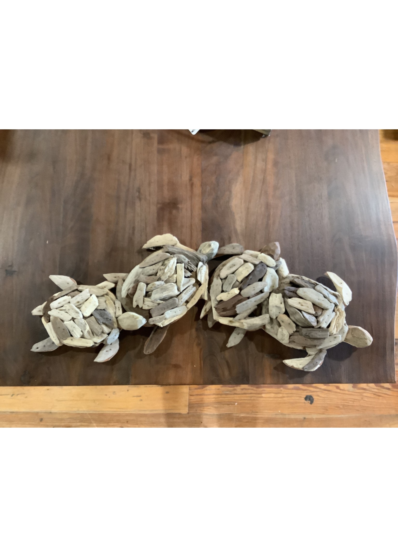 Stetson Seashells Driftwood Turtle Cluster