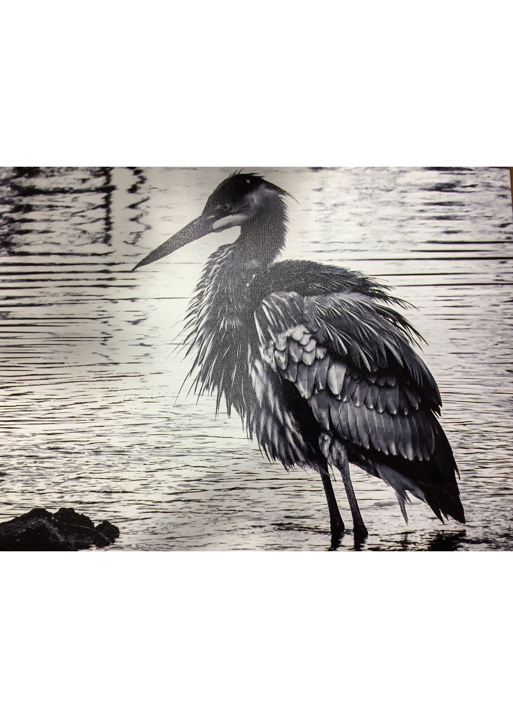Old Wood Delaware OW Canvas Wall Art - Black and White Single Crane 20x26