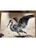 Old Wood Delaware OW Canvas Art - Blue Heron Raised Wings 26x20 Framed