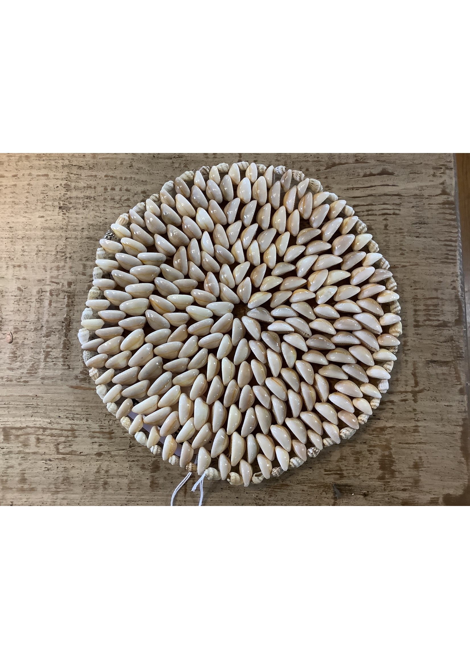 Stetson Seashells 8" Round Shell Trivet