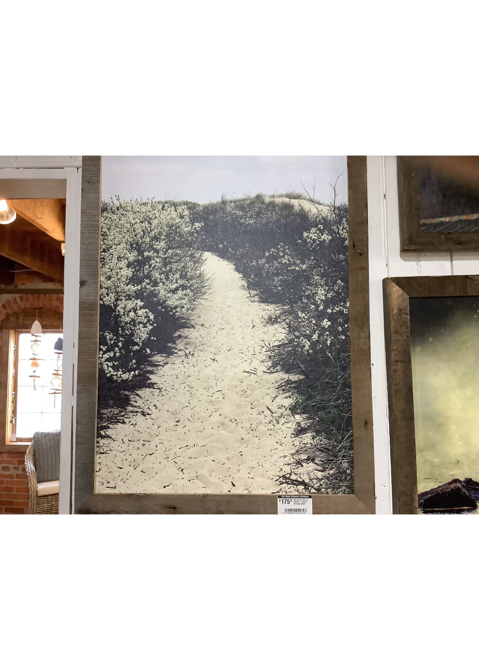 OW Canvas Wal Art Framed - Dunes Pathway 26x20