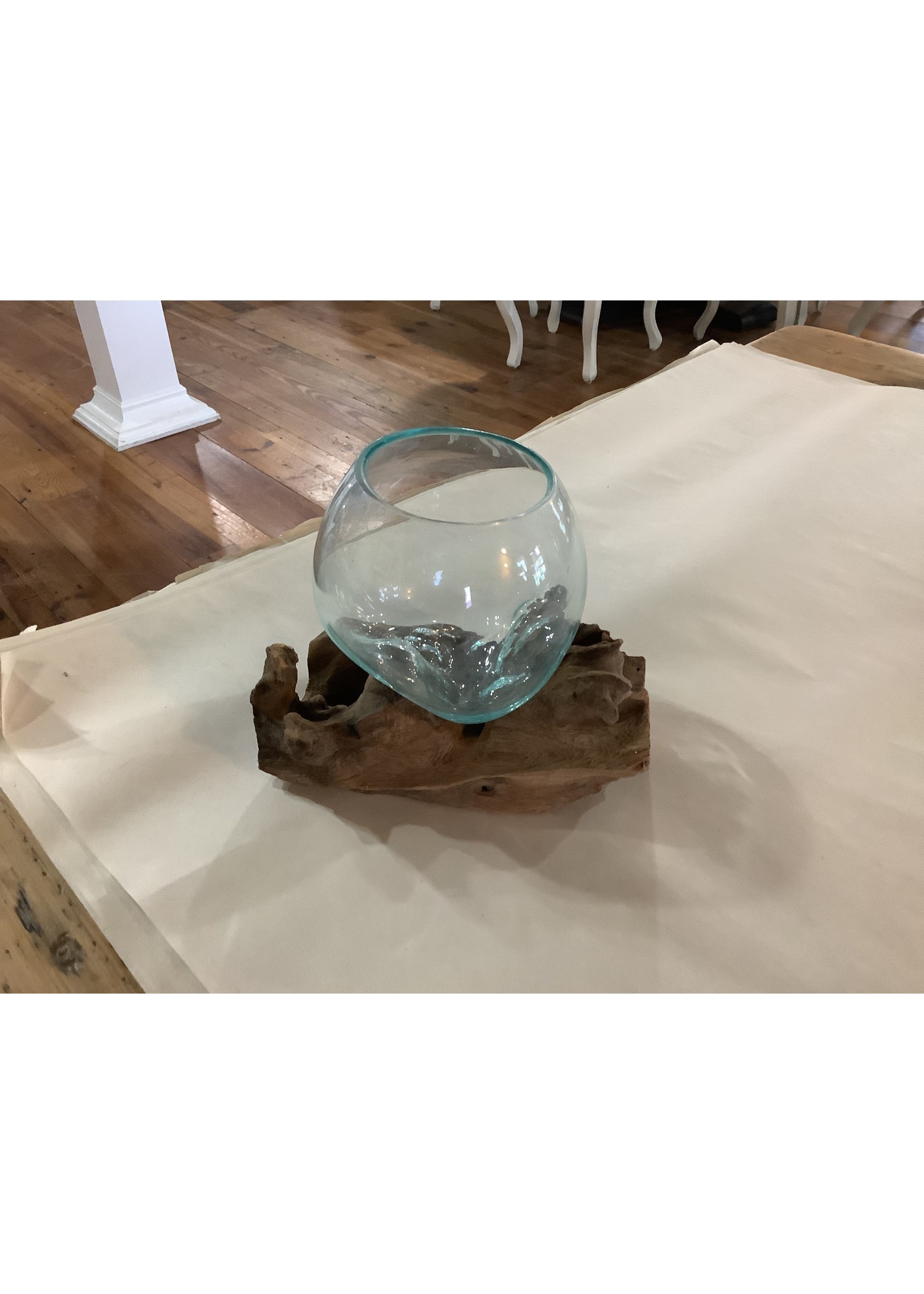 Stetson Seashells Glass Bowl on Driftwood SMALL