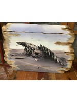 Old Wood Delaware OW Ship Wreck Burned Board Wall Art 35 x 24