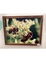 Old Wood Delaware OW Canvas Art - Bees on Flowers 19"x25"