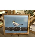 Old Wood Delaware OW Canvas Art - Bird on a Rope 21"x18"