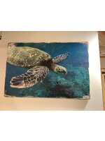 Old Wood Delaware OW Wood Wall Art Sea Turtle 2'x3'