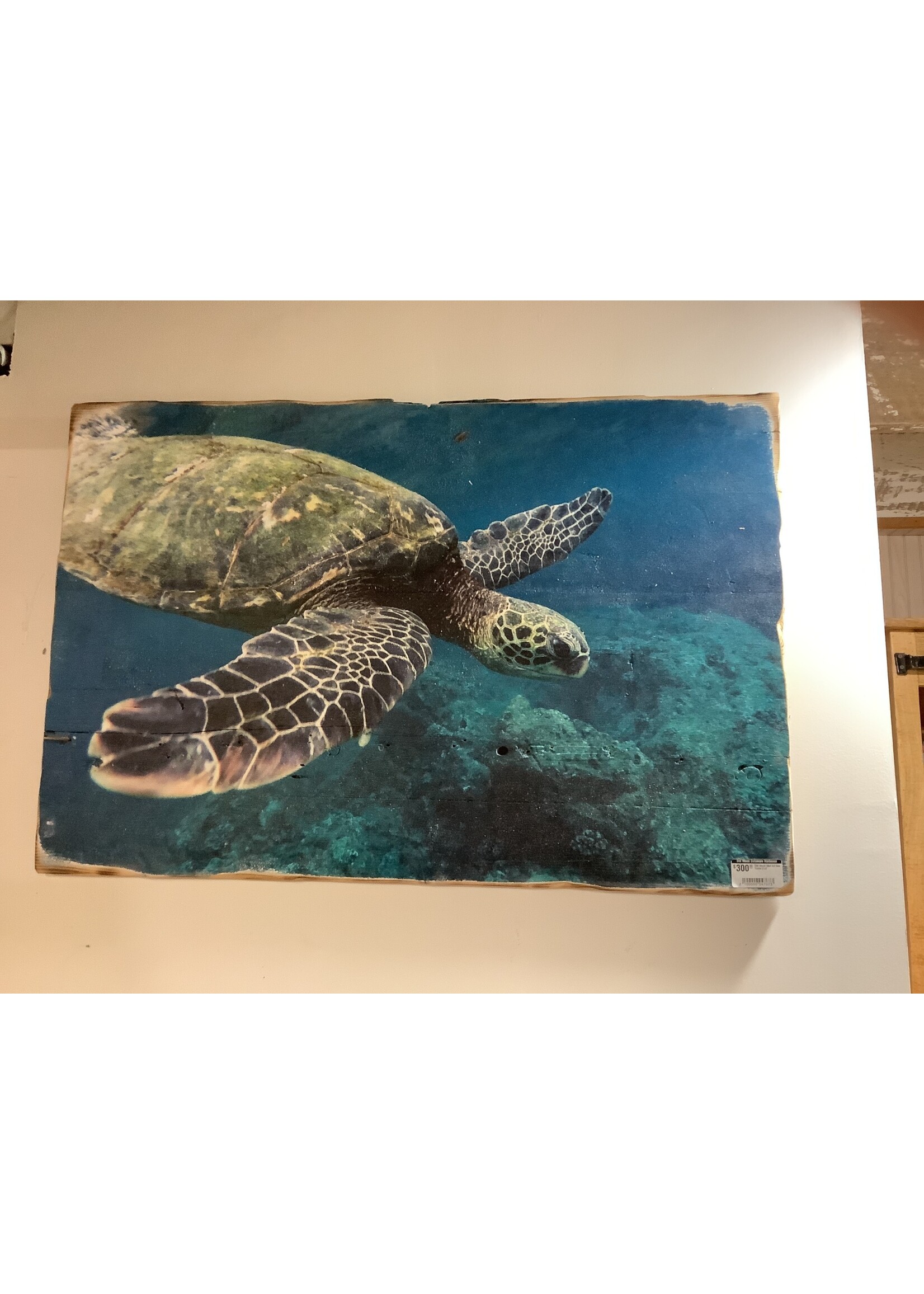 Old Wood Delaware OW Wood Wall Art Sea Turtle 2'x3'