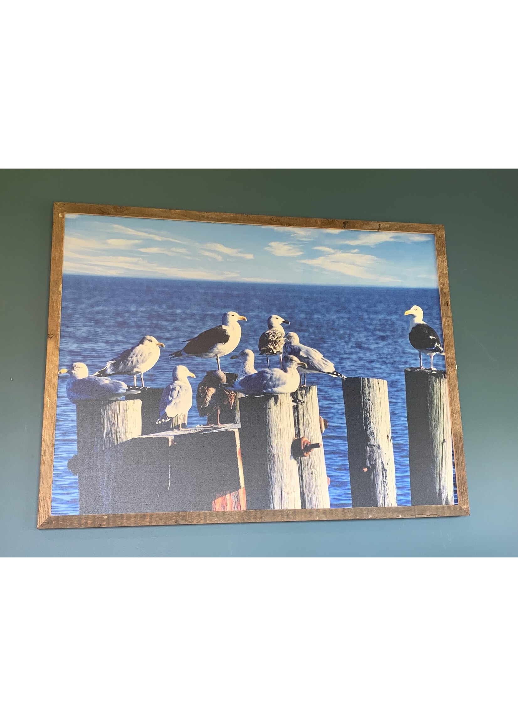 Old Wood Delaware OW Canvas Art - Seagulls on Posts Framed 49.25 x 37.25