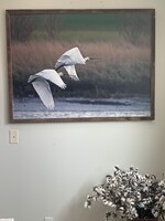 Old Wood Delaware OW Canvas Art - 2 Birds Flying Over Beach Framed 49.25 x 37.25