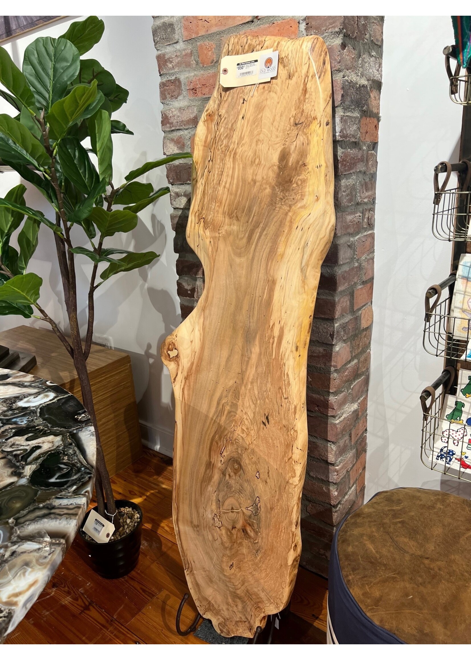 Old Wood Delaware Spalted Maple Slab Finished Natural 60" x 18" x 1"