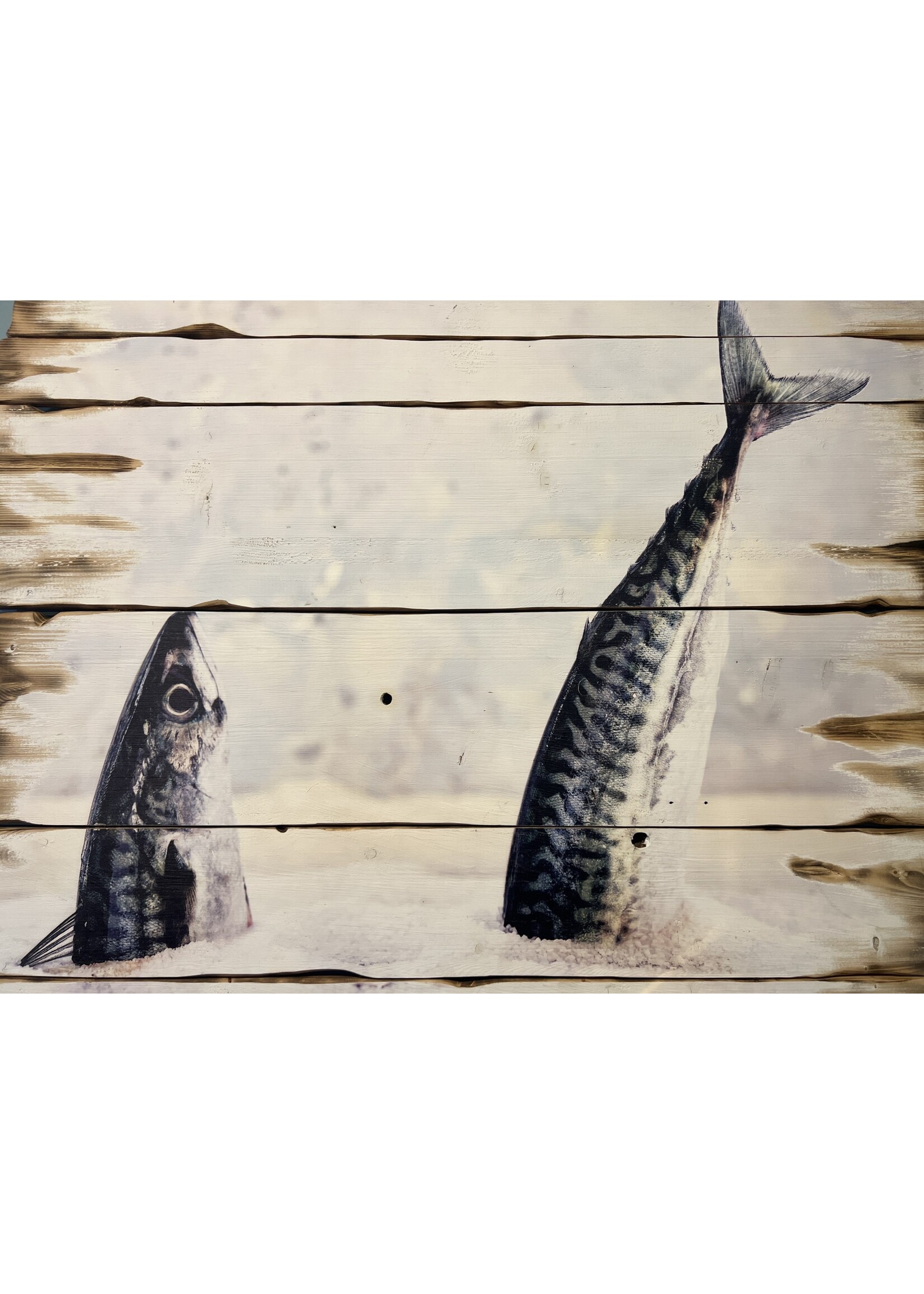 Old Wood Delaware OW Jumping Fish - Burned Plank Art 23"x35"