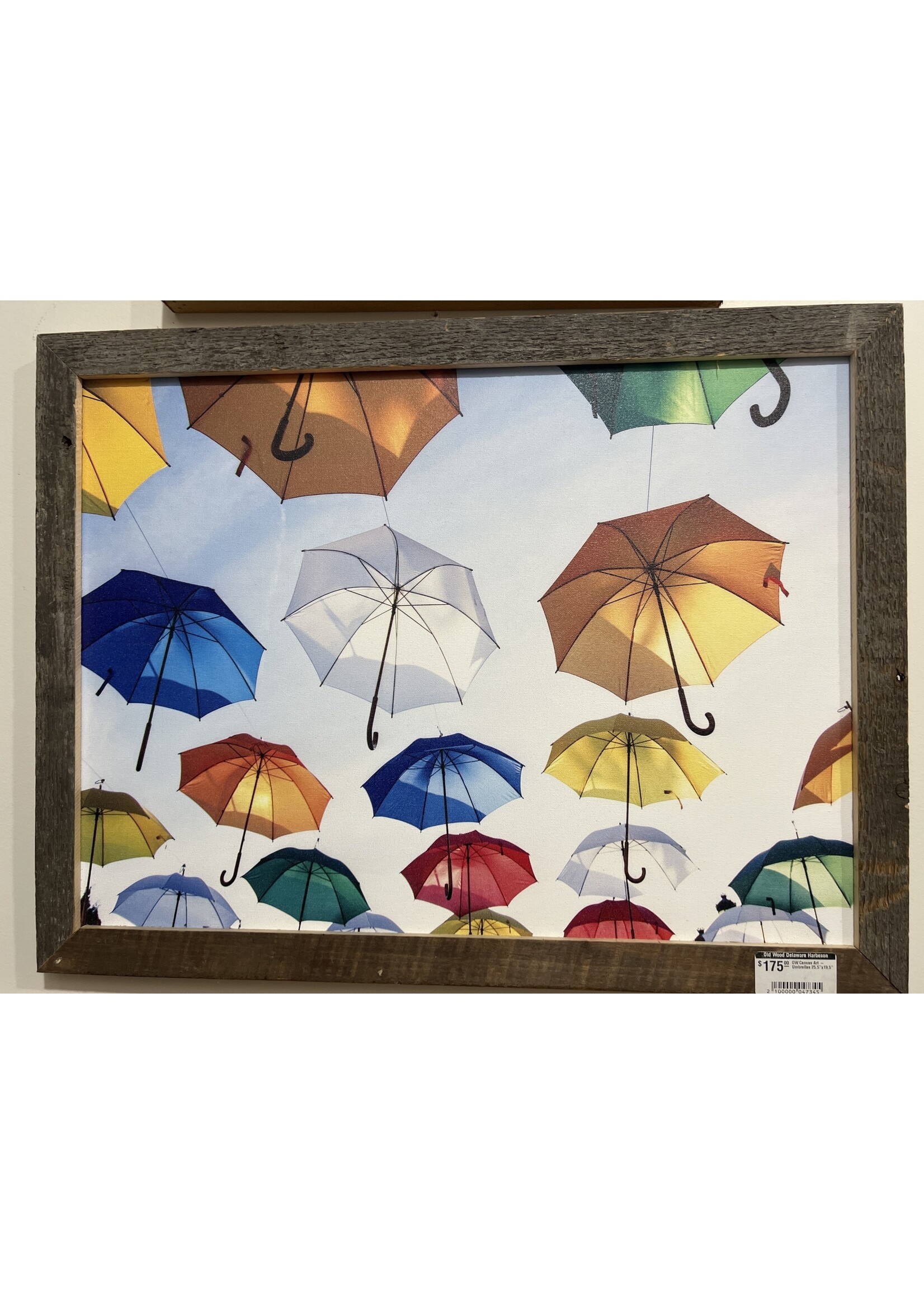 Old Wood Delaware OW Canvas Art - Umbrellas 25.5"x19.5"
