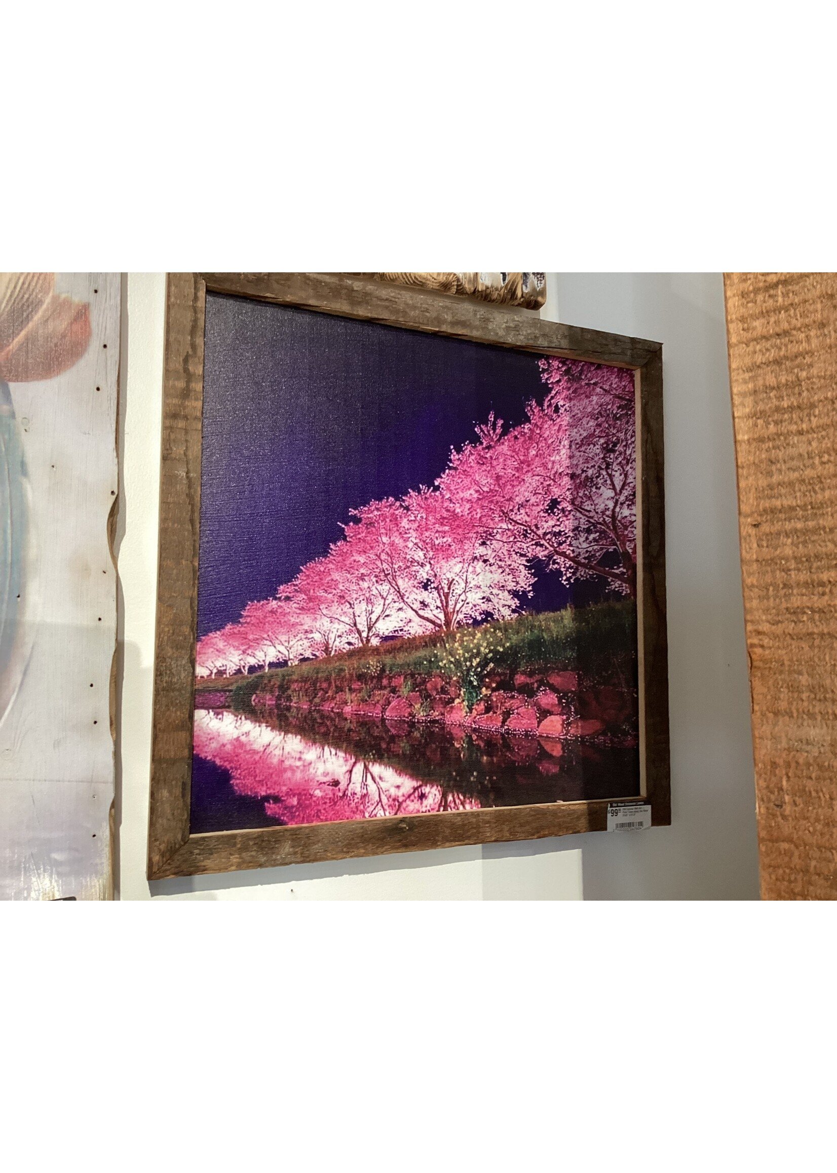 OW Canvas Wall Art - Pink Trees along the River 21x5" x 21.5"