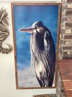 Old Wood Delaware OW Canvas Wall Art Angry Bird 48.5x25.5