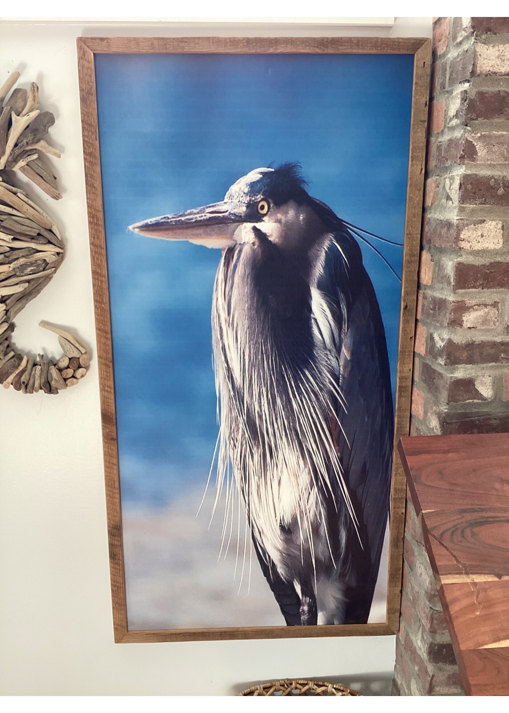 Old Wood Delaware OW Canvas Wall Art Angry Bird 48.5x25.5