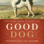 Harper Collins Publishing Good Dog by David Dibenedetto