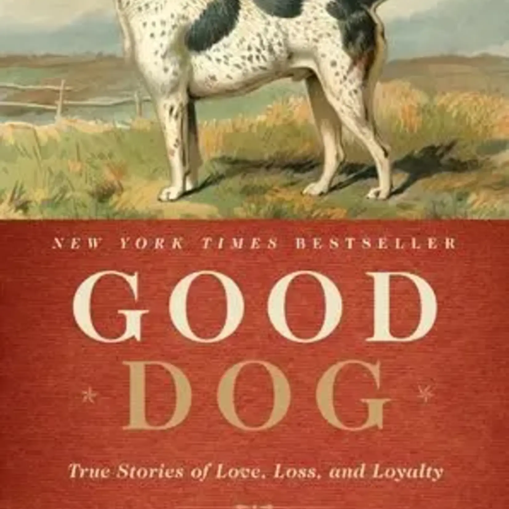 Harper Collins Publishing Good Dog by David Dibenedetto