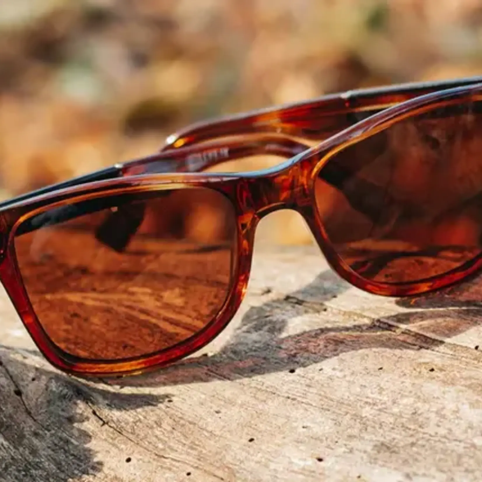 Shwood Originals Canby XL Bourbon//Elm Burl - Brown Polarized