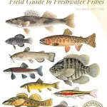 Harper Collins Publishing Peterson Field Guide to Freshwater Fishes