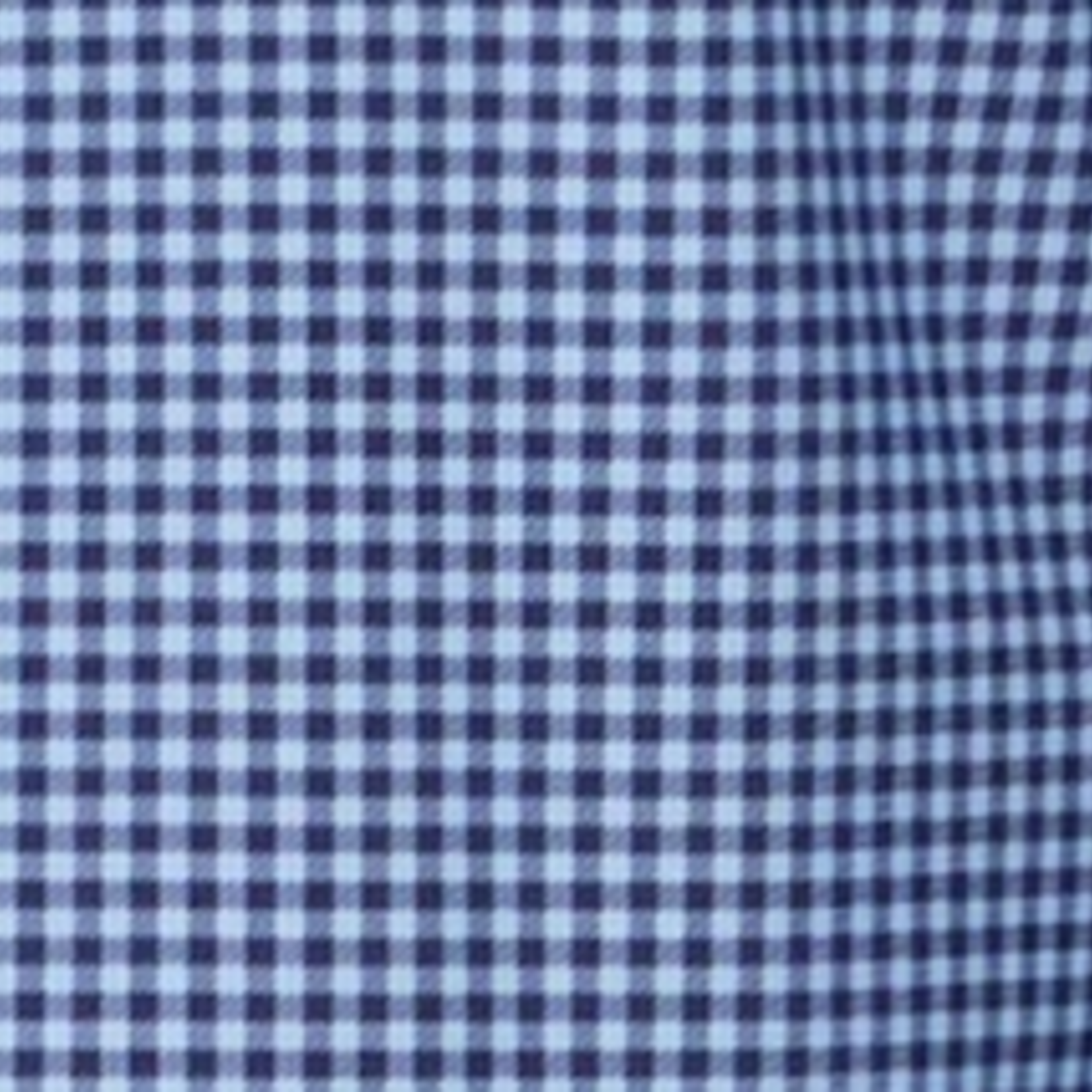 Flag and Anthem Patton LS Gingham Journey Shirt