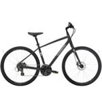 Trek Verve 2 Disc XL Lithium Grey