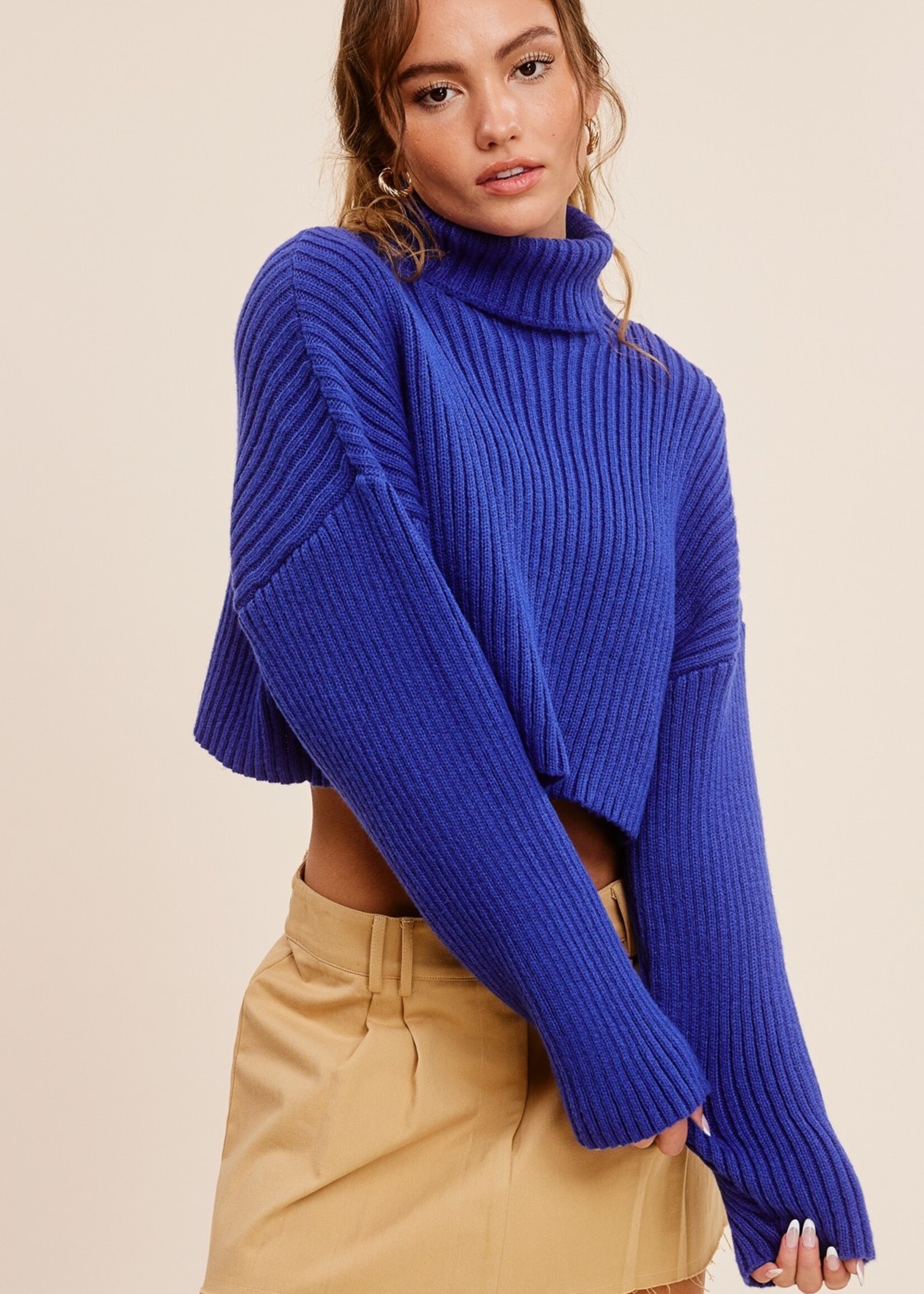 Cropped Ribbed Turtleneck Sweater