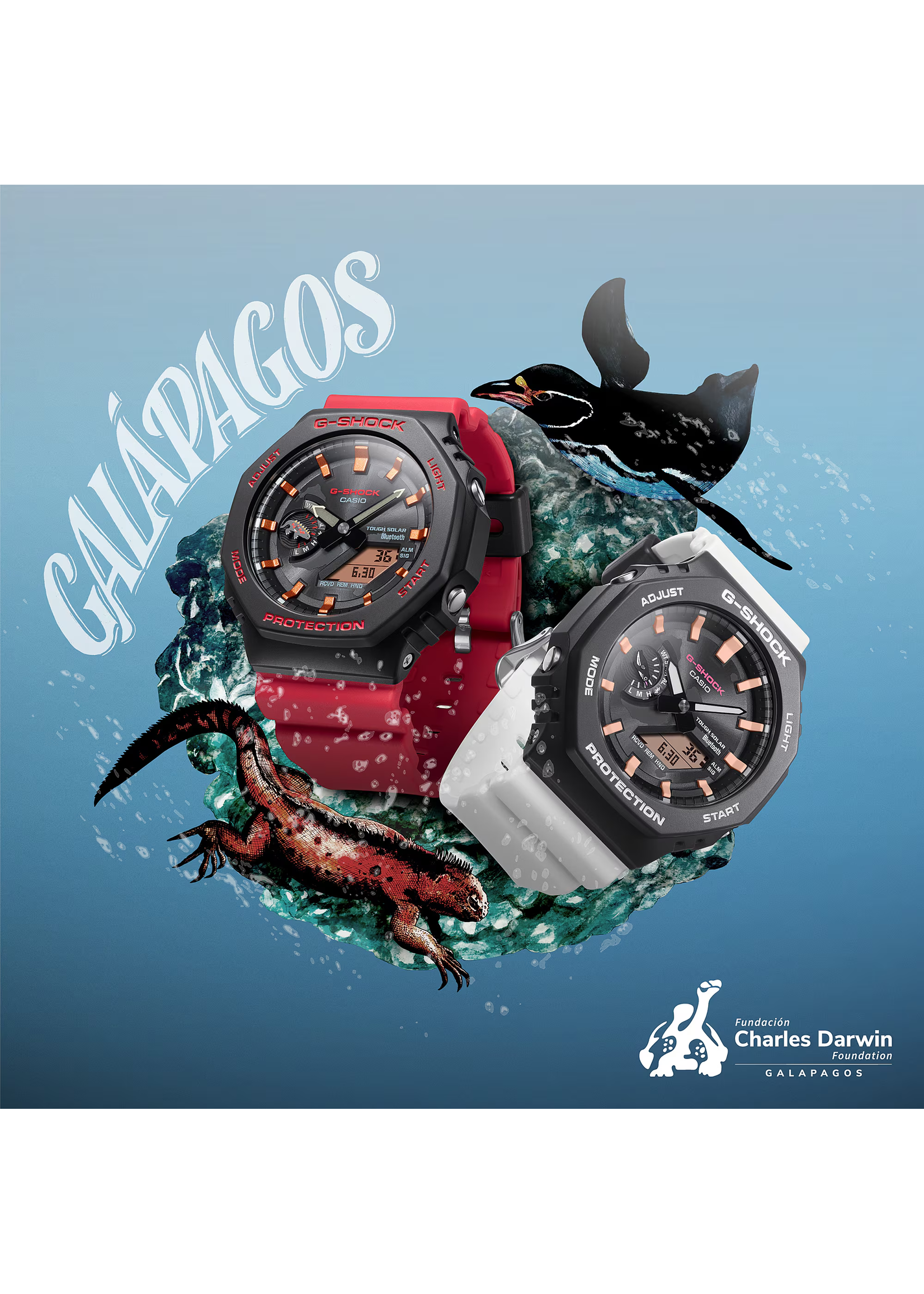 Casio GA-B2100CD-1A7CR G-shock x Charles Darwin Foundation