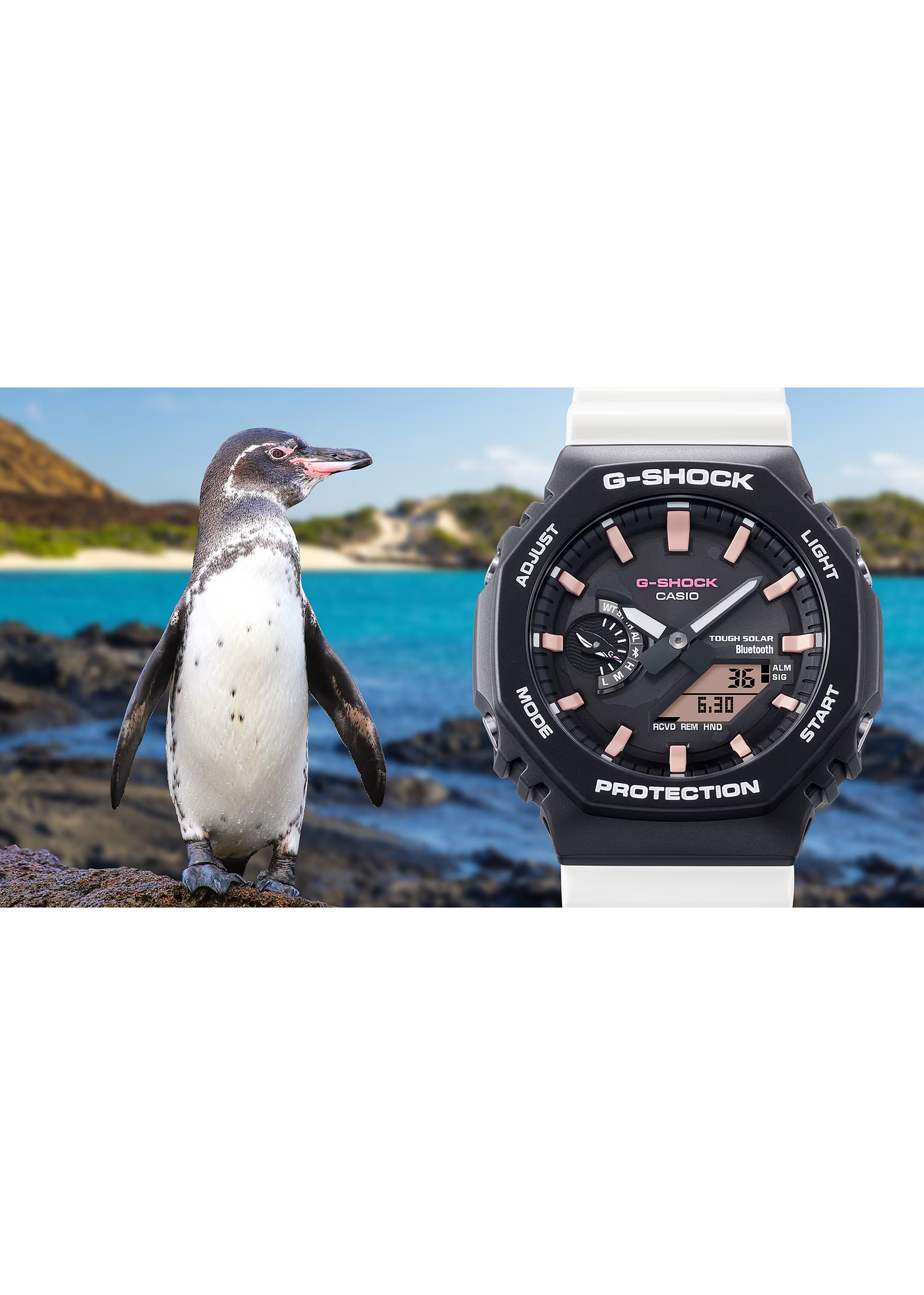 Casio GA-B2100CD-1A7CR G-shock x Charles Darwin Foundation