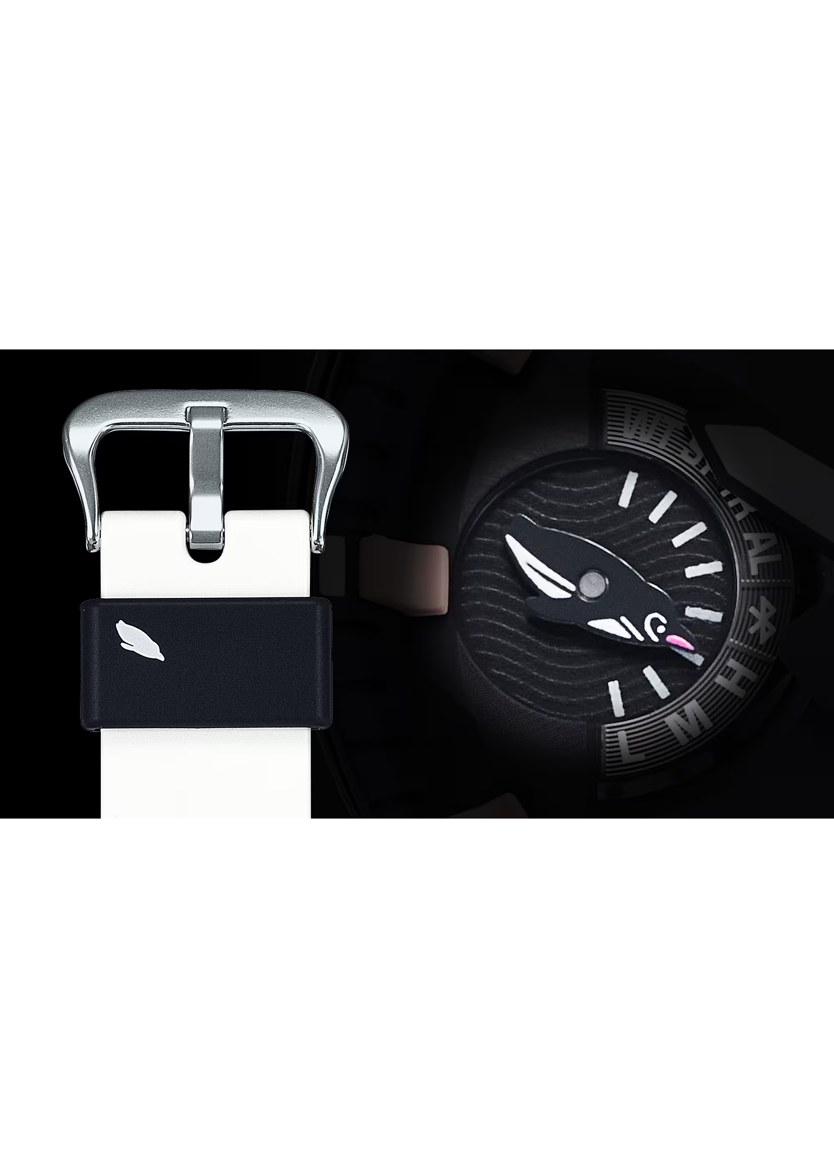 Casio GA-B2100CD-1A7CR G-shock x Charles Darwin Foundation