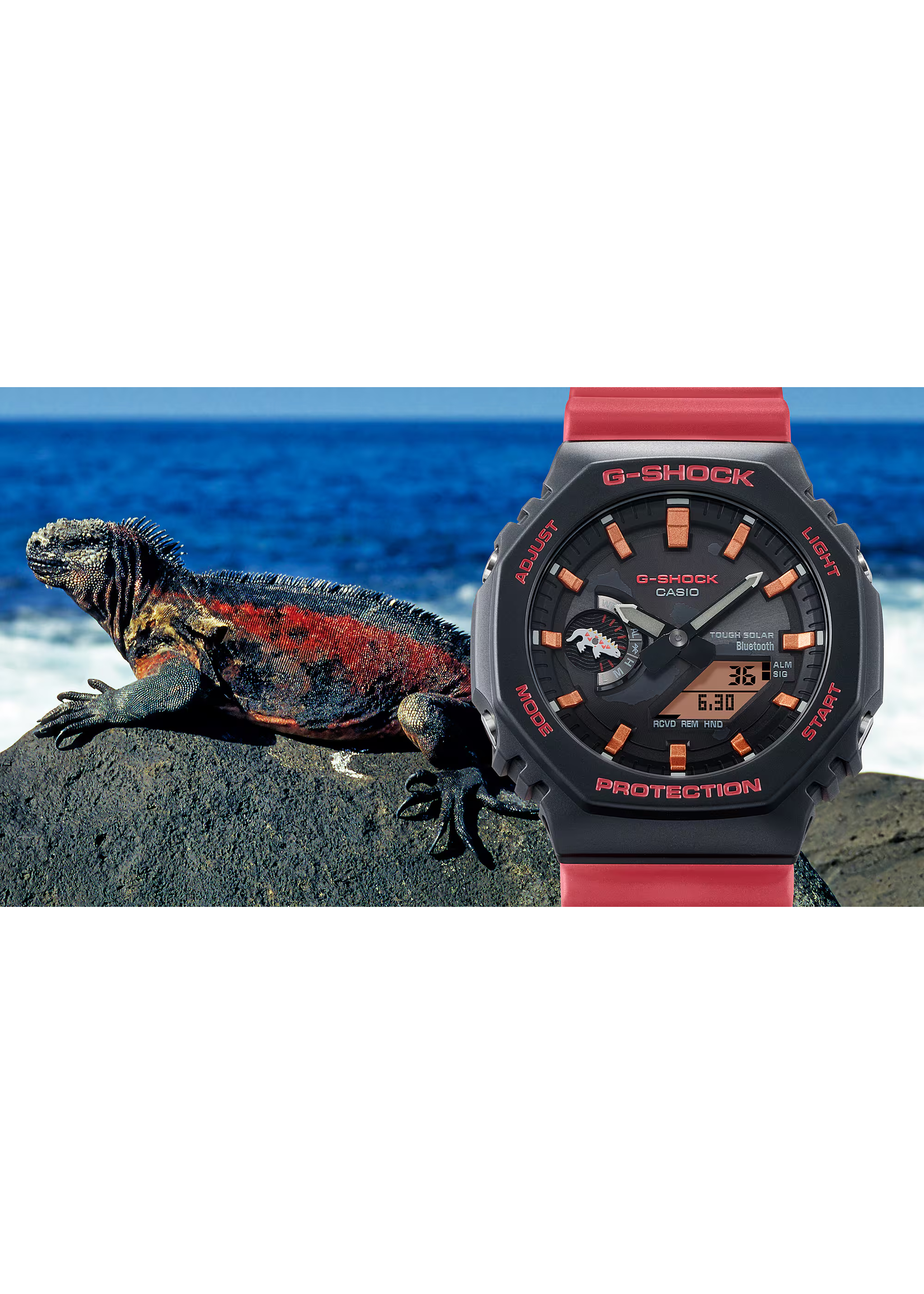 Casio GA-B2100CD-1A4CR G-shock x Charles Darwin Foundation