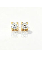 Oceans Cresta Ear Studs 14K Yellow Gold 2CT