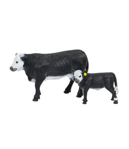 Black Baldy Cow & Calf
