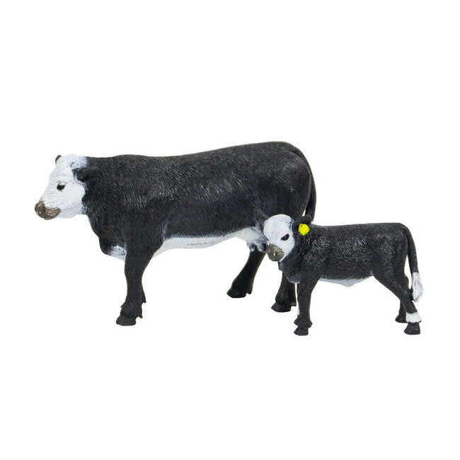 Black Baldy Cow & Calf