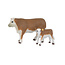 Hereford Cow & Calf