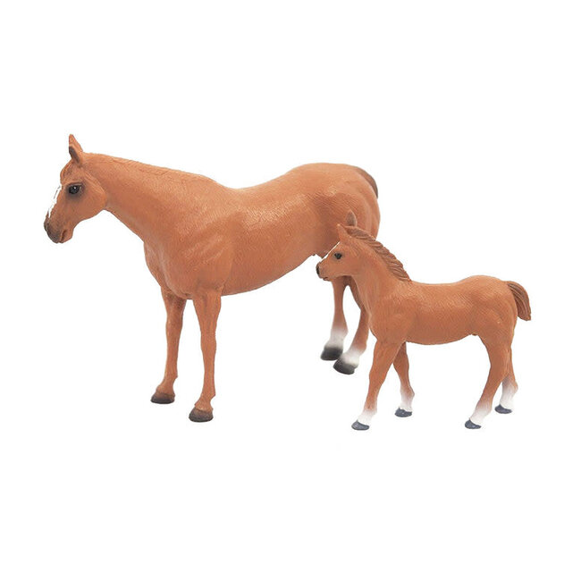 Quarter Horse Mare & Colt