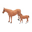 Quarter Horse Mare & Colt