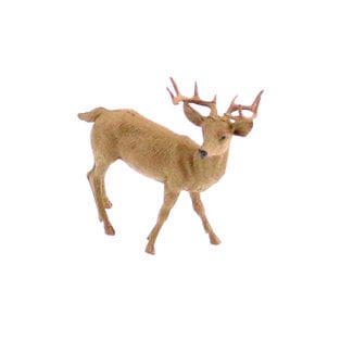 Wildlife Box Set - Deer