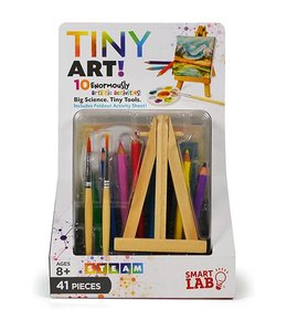 Tiny Art! Mini Crafts