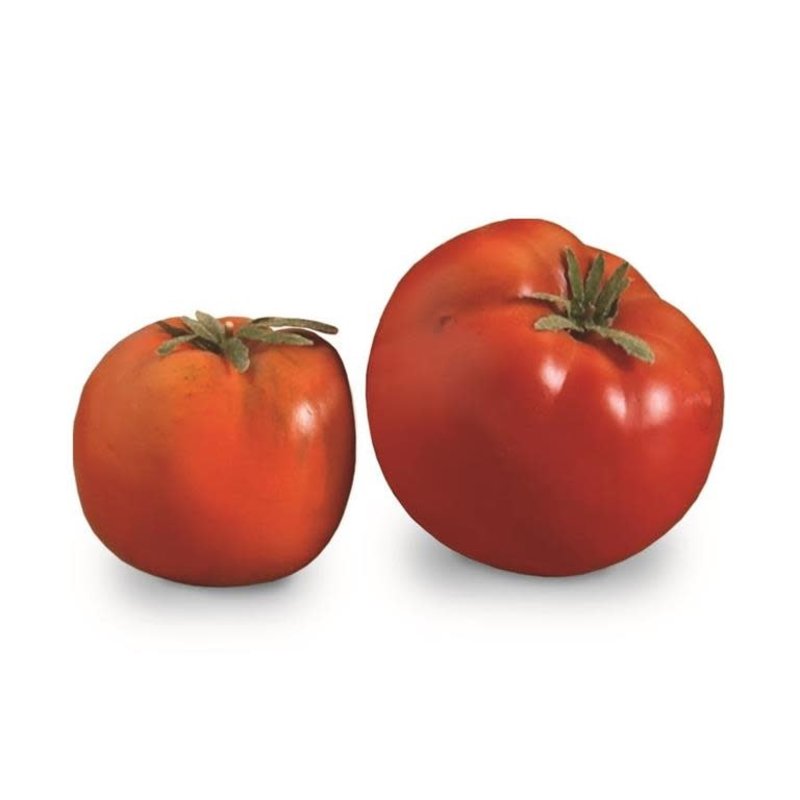 Red Sun Ripened Tomatoe