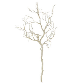 Silver Manzanita Branch 37”