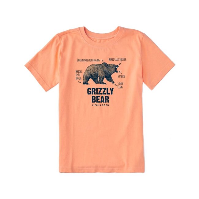 The Grizzly Bear Tee - Clearance