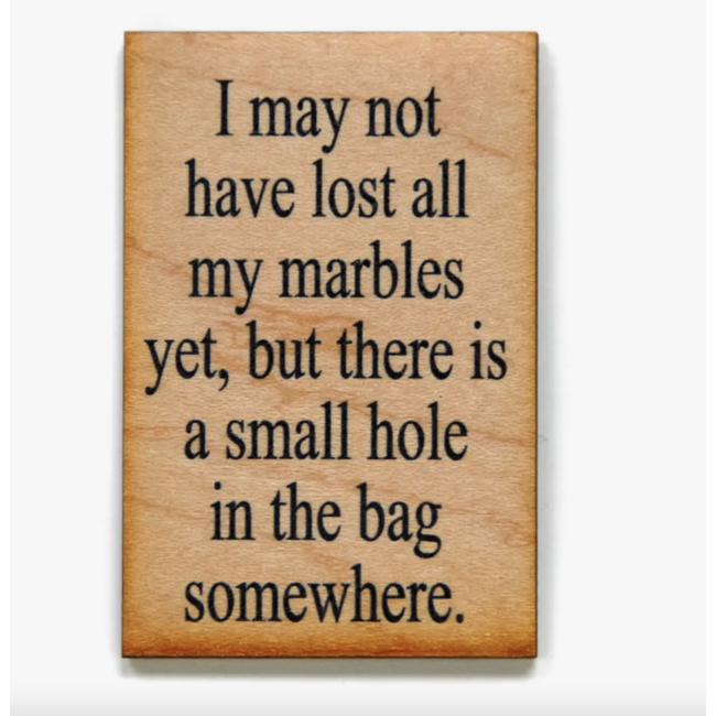 Wooden Magnet - I May Not Have Lost