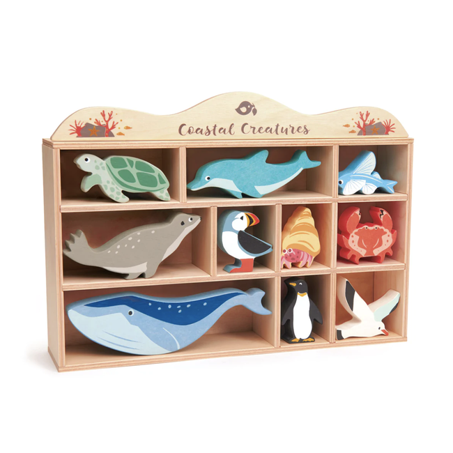 Coastal Animals with Display Shelf
